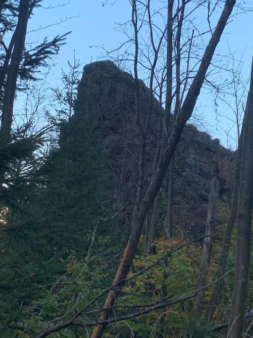 Jermerstein-Haeuschen Braunlage Buitenkant foto