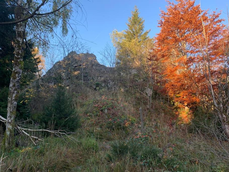 Jermerstein-Haeuschen Braunlage Buitenkant foto